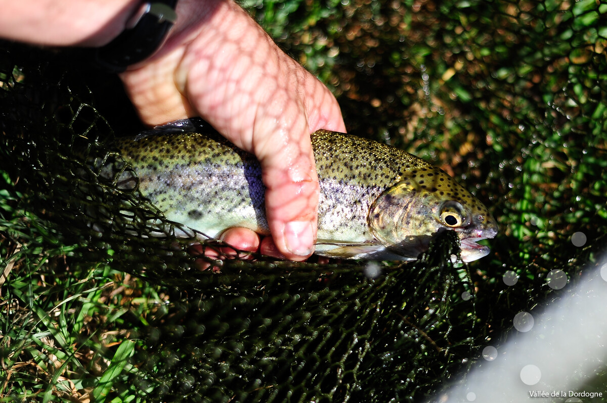 Figeac : Concours de Pêche au profit du Téléthon