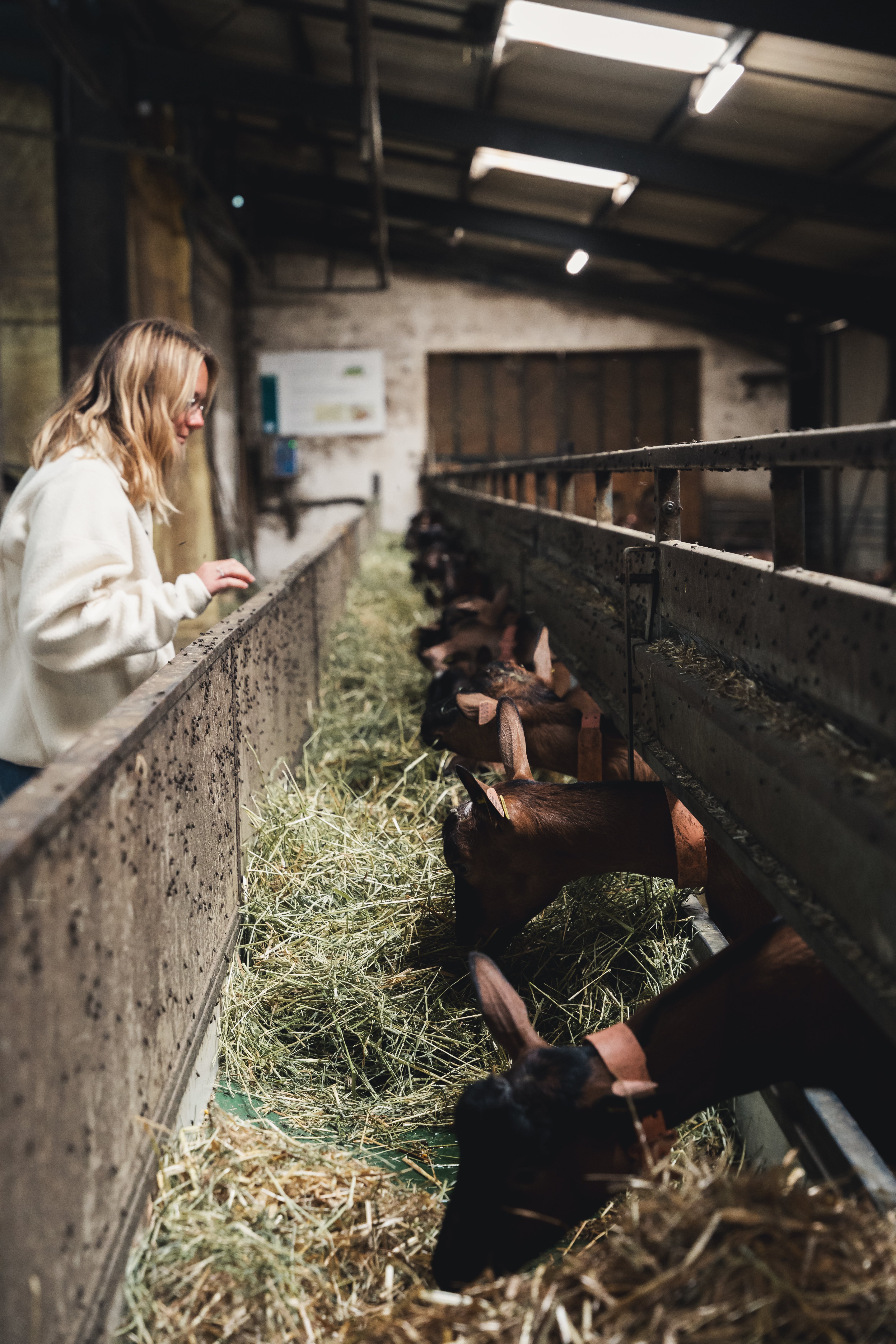 Dor'Lot Emerveille : Visite à la Ferme La Borie d'Imbert