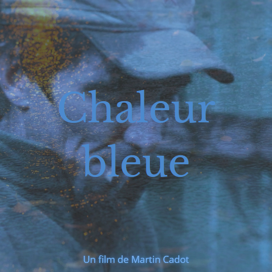Figeac : Soirée cinéma au Manoir de Laroque Delprat