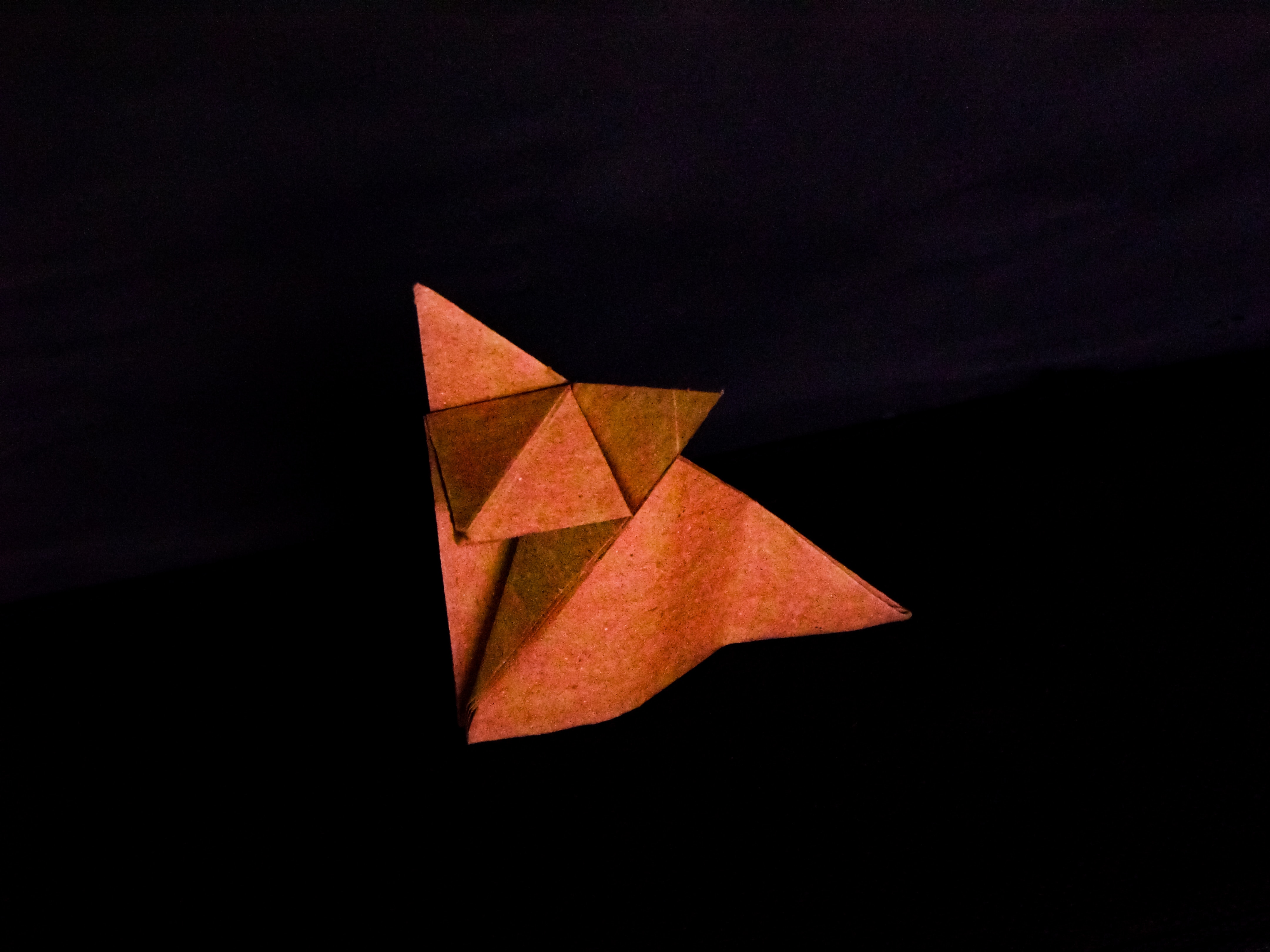Figeac : Atelier origami avec Emmanuelle Enfrin à la Galerie d'Art 