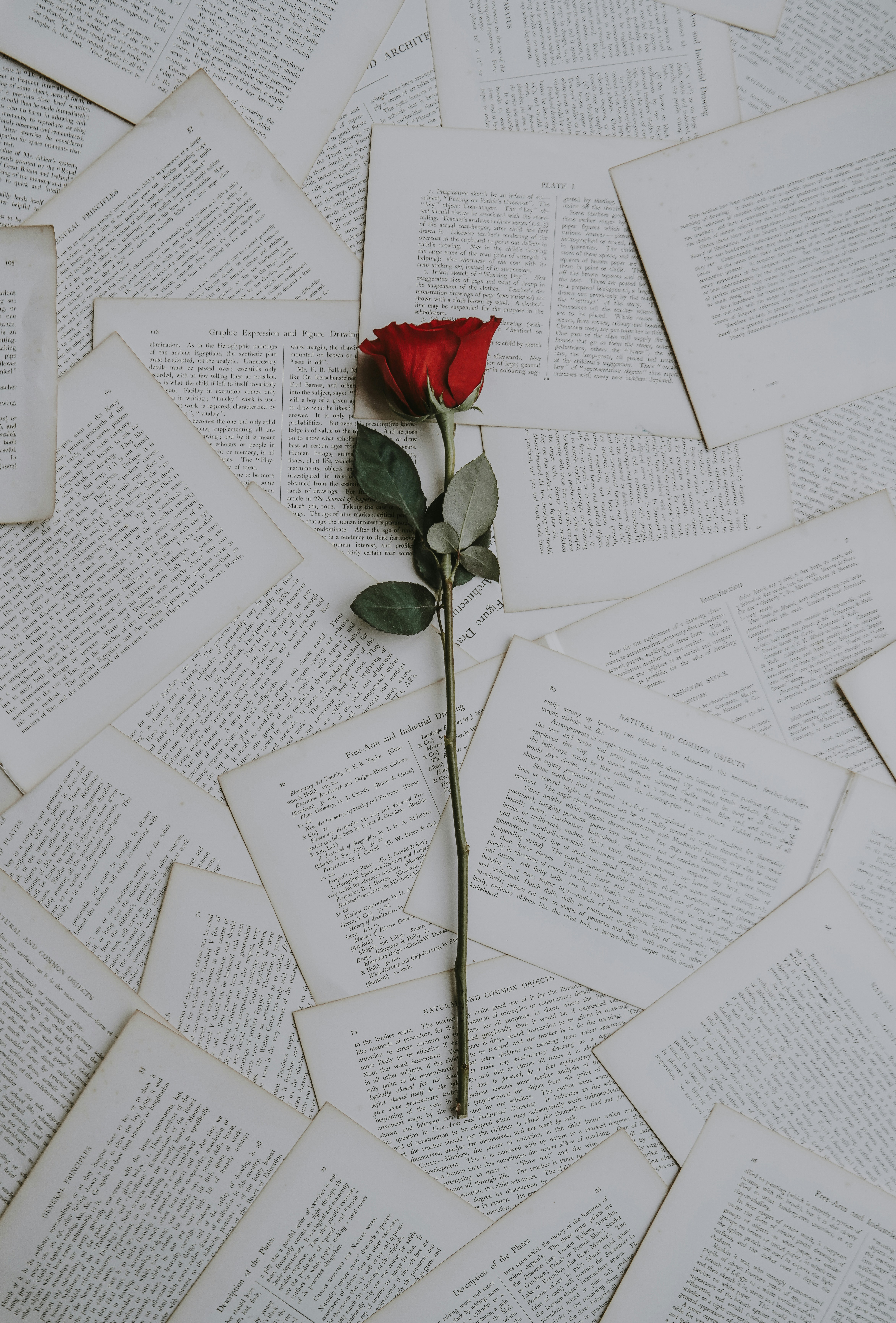 Figeac : Carrefour des Arts : Lettres d'amour