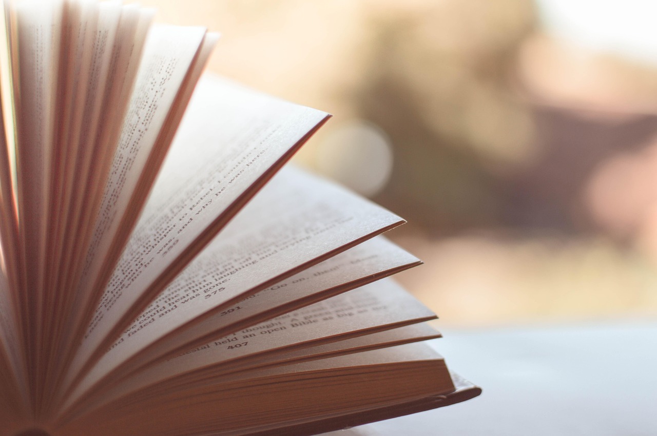 Figeac : La librairie fête son ouverture !