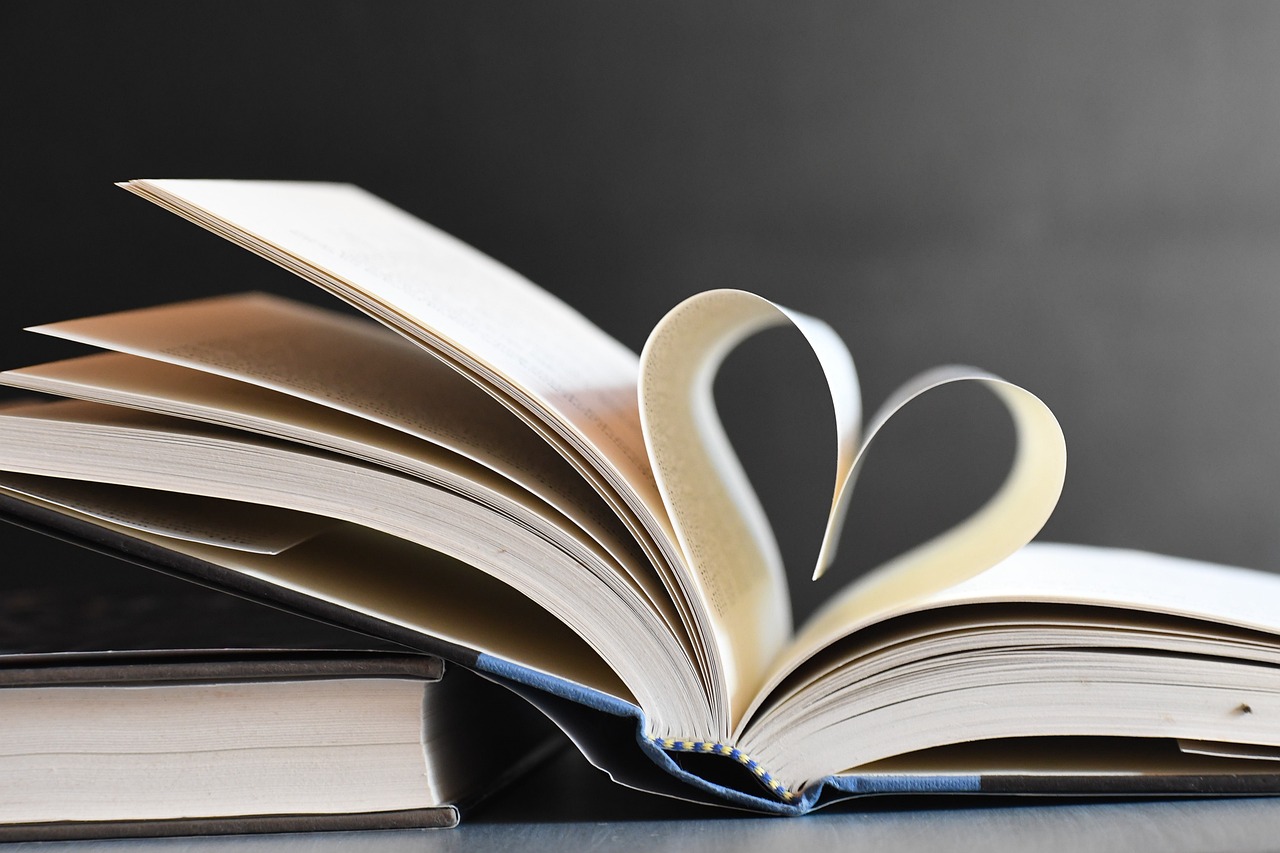 Figeac : Salon du livre: 