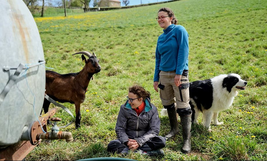 Figeac : De ferme en ferme : Cabrioles de Balajou à Figeac