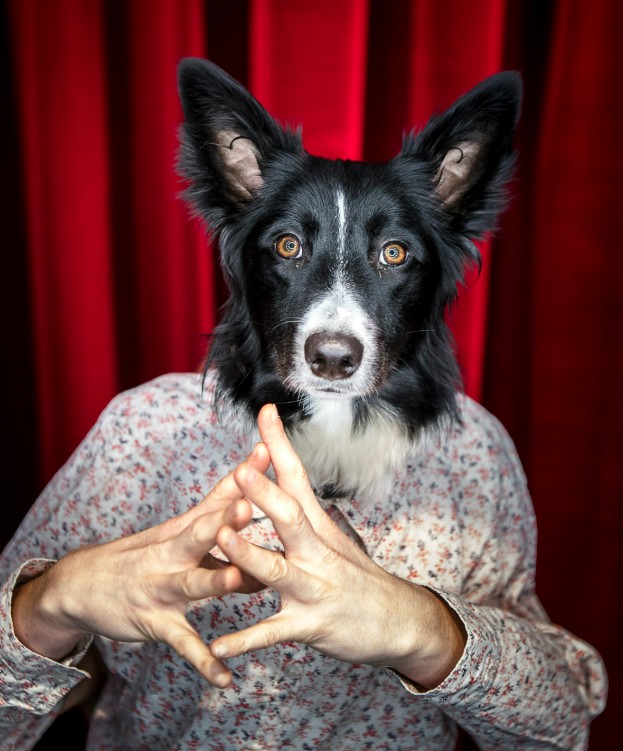 Figeac : Théâtre de l'Usine - Ouiiii Cie des Plumés