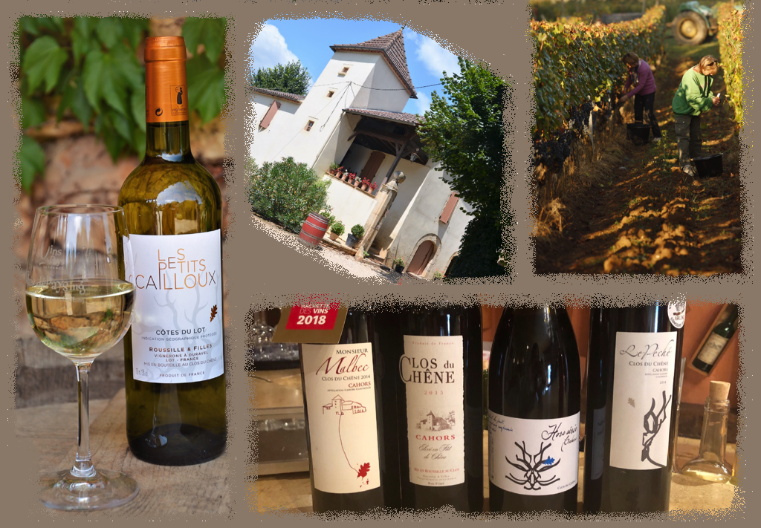 Figeac : Soirée cinéma et dégustation sous les étoiles au Clos du Chêne