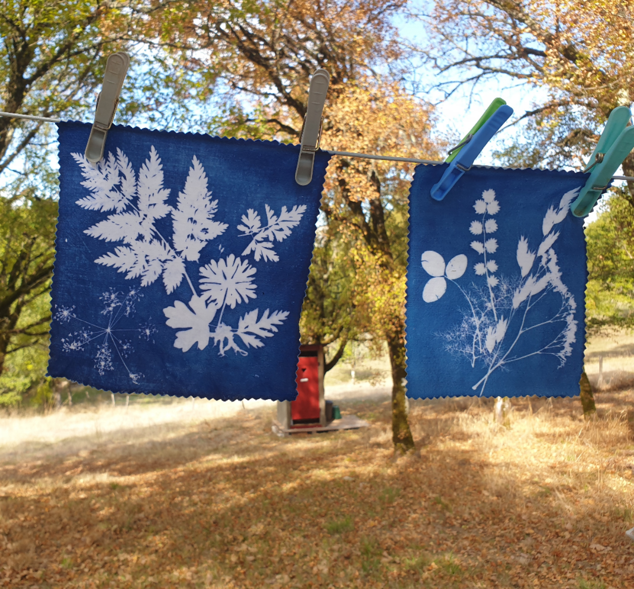 Figeac : Atelier cyanotype
