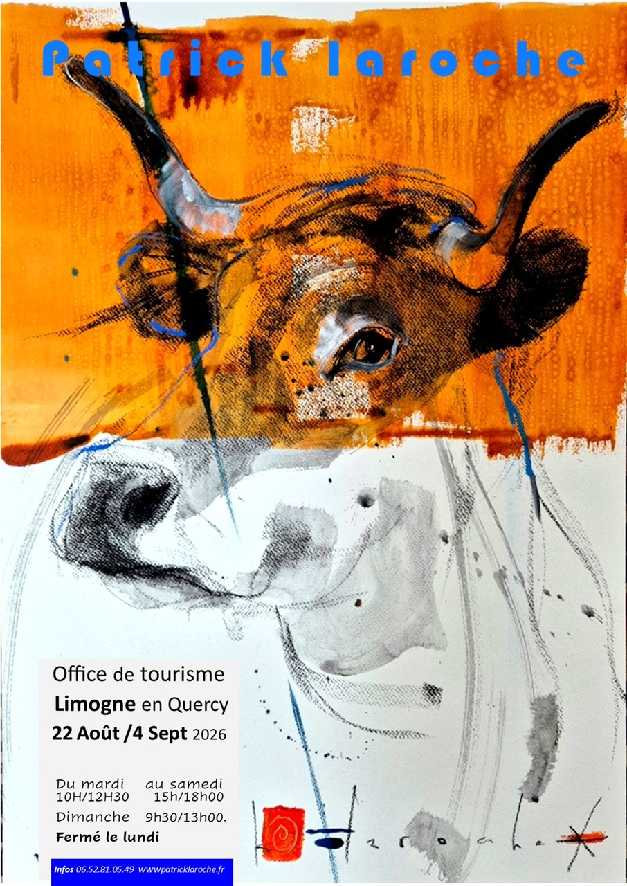 Exposition de Patrick Laroche
