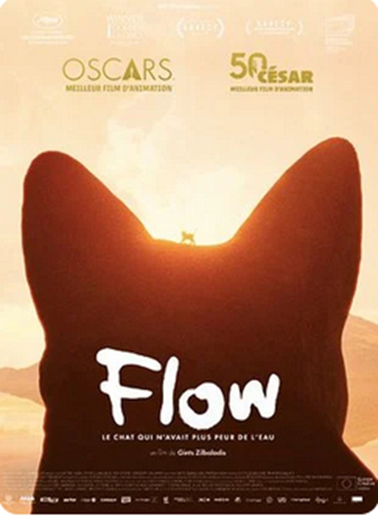 Figeac : CinéToile sous les étoiles : Flow, le chat qui n'avait plus peur de l'eau