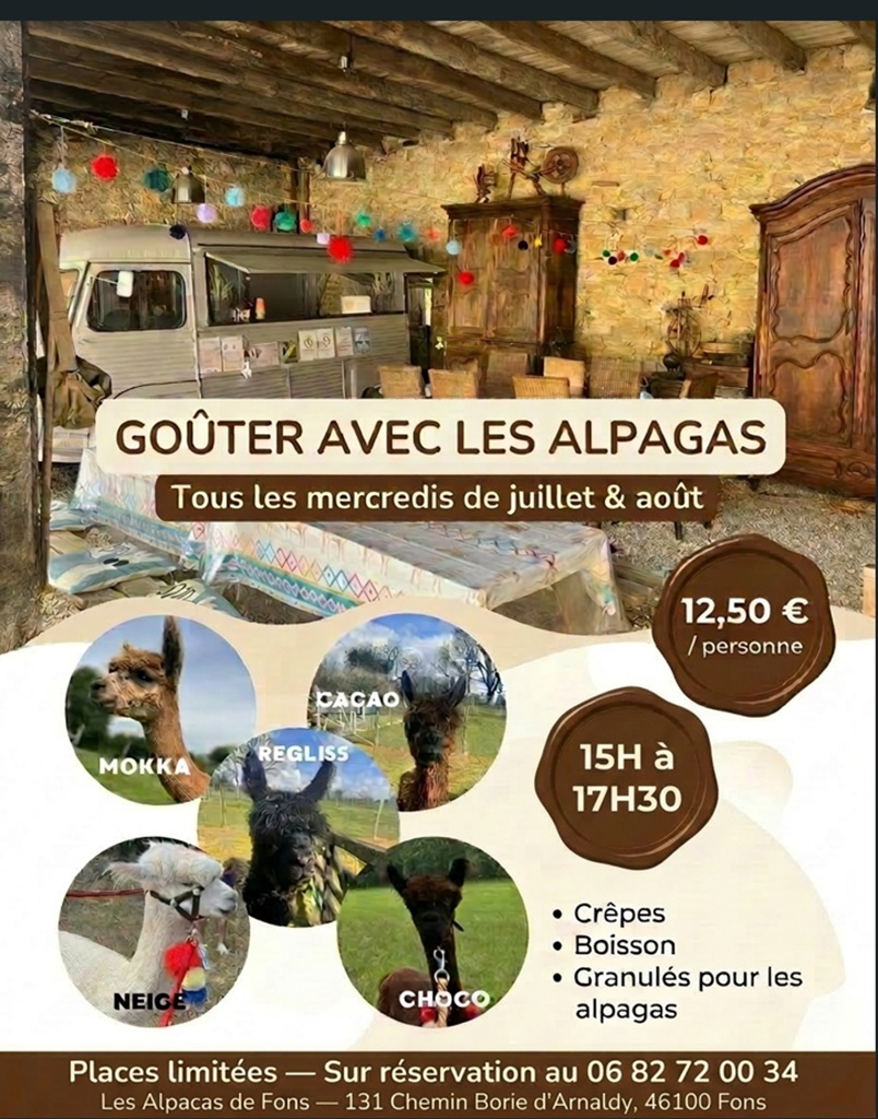 Figeac : Goûter avec les alpagas
