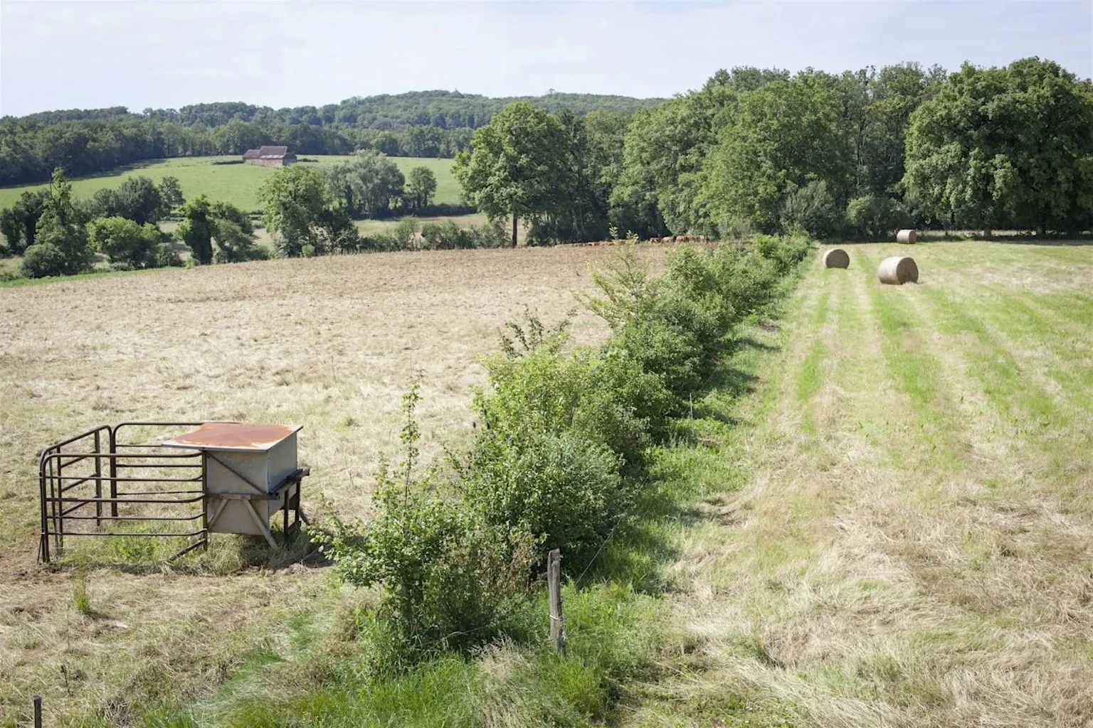 Figeac : Des arbres et des champs, agroforesterie, visite de terrain à Reyrevignes