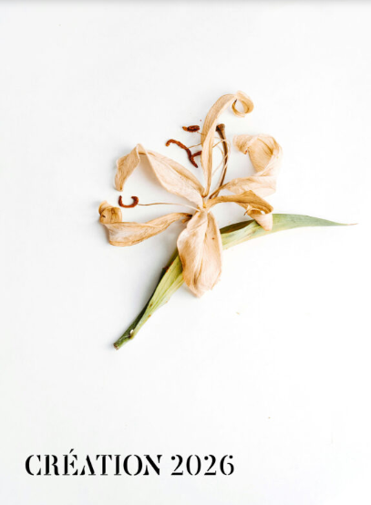 Figeac : Festival de Rocamadour: Media Vita