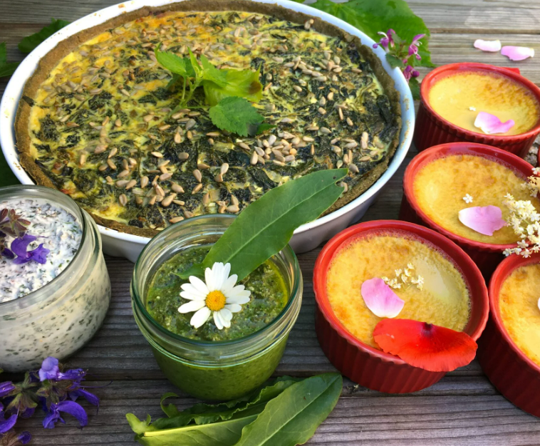 Figeac : Atelier Cuisine Sauvage