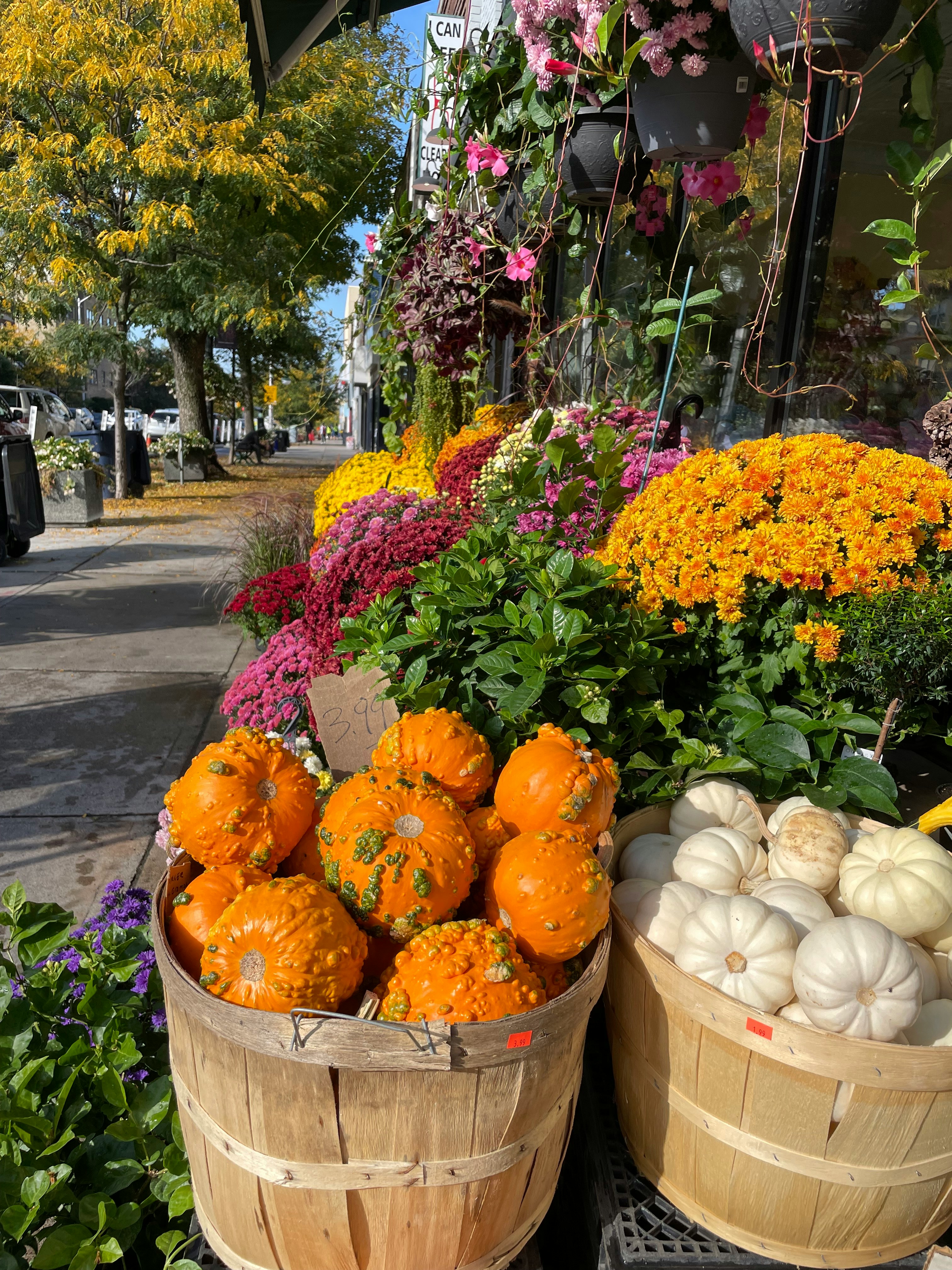 Figeac : Fête de l'automne et du CAP