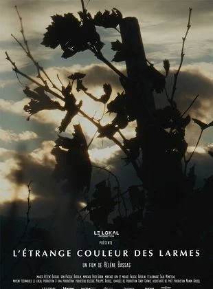 Figeac : Ciné Débat 