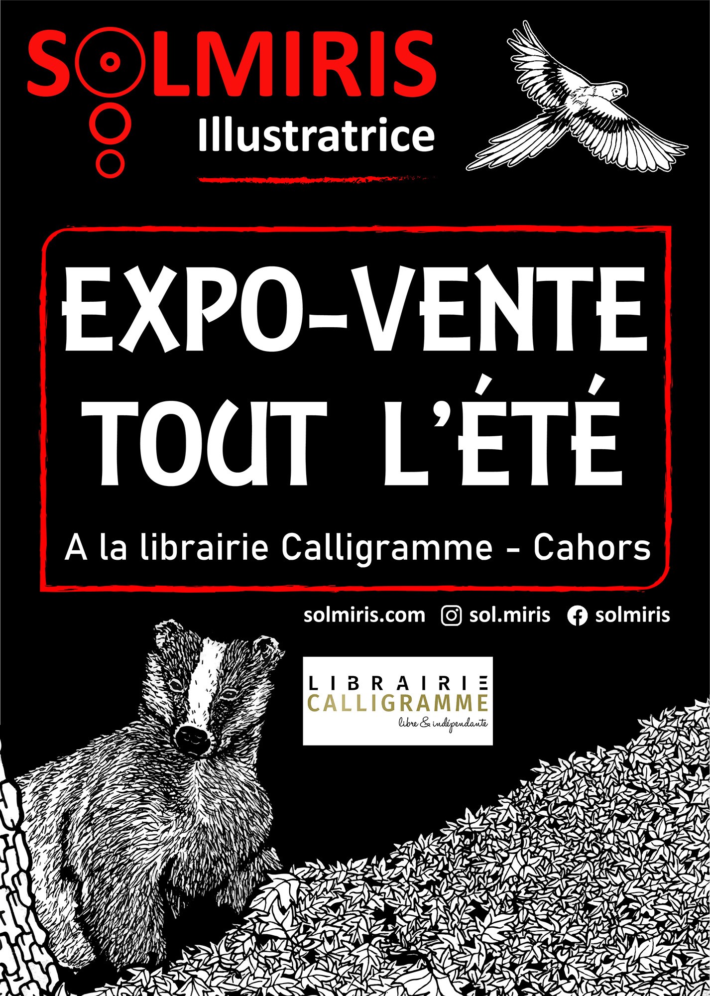 Figeac : Expo-vente à la librairie calligramme : Solmiris, illustratrice