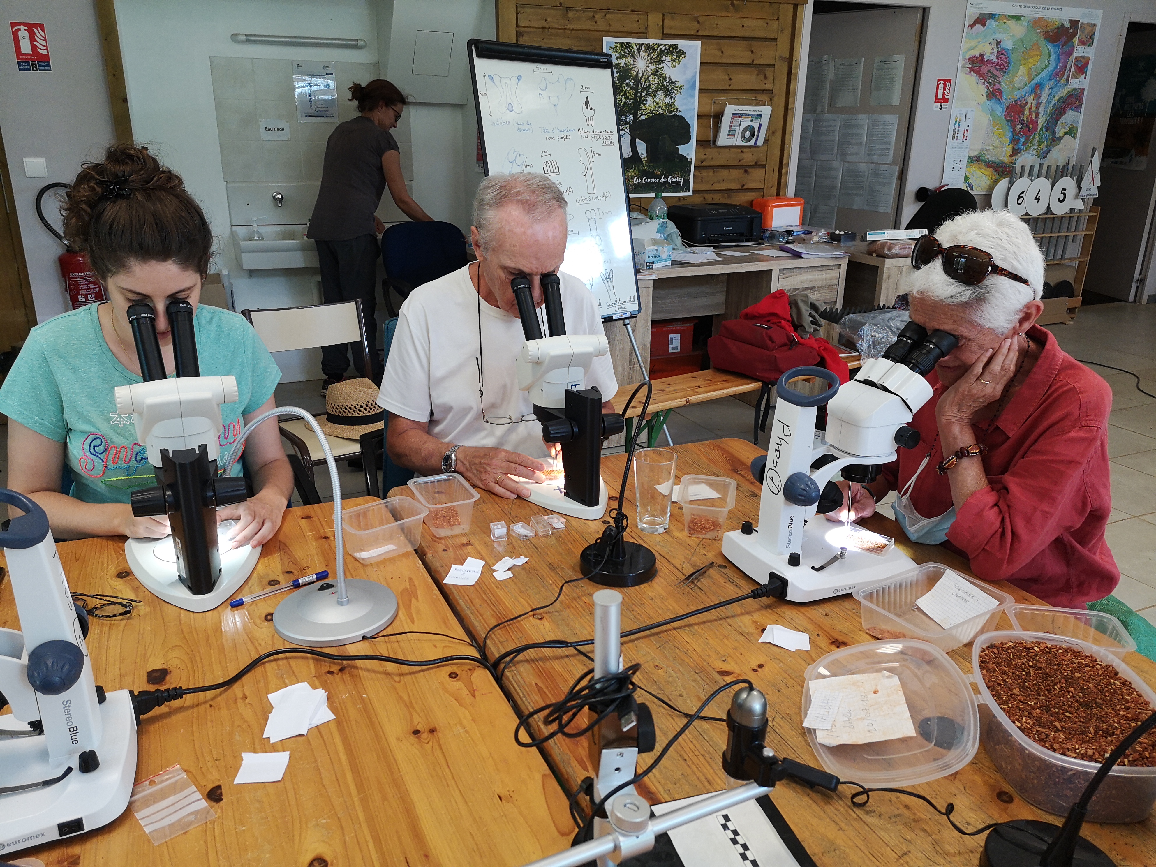 Figeac : Atelier tri de fossiles - A la recherche des fossiles