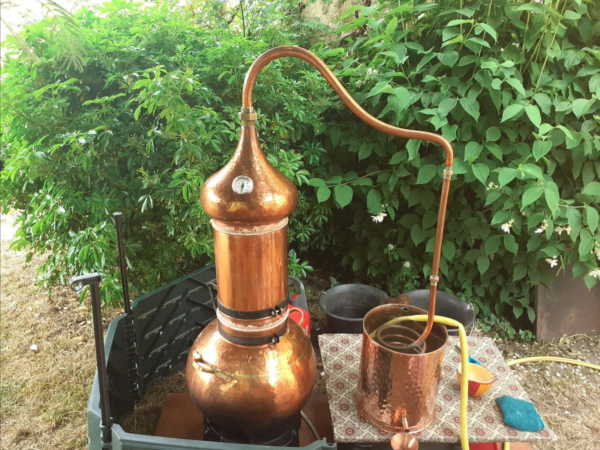 Figeac : Distillation : de la cueillette à la dégustation au Bouyssou avec Cultures des Demains