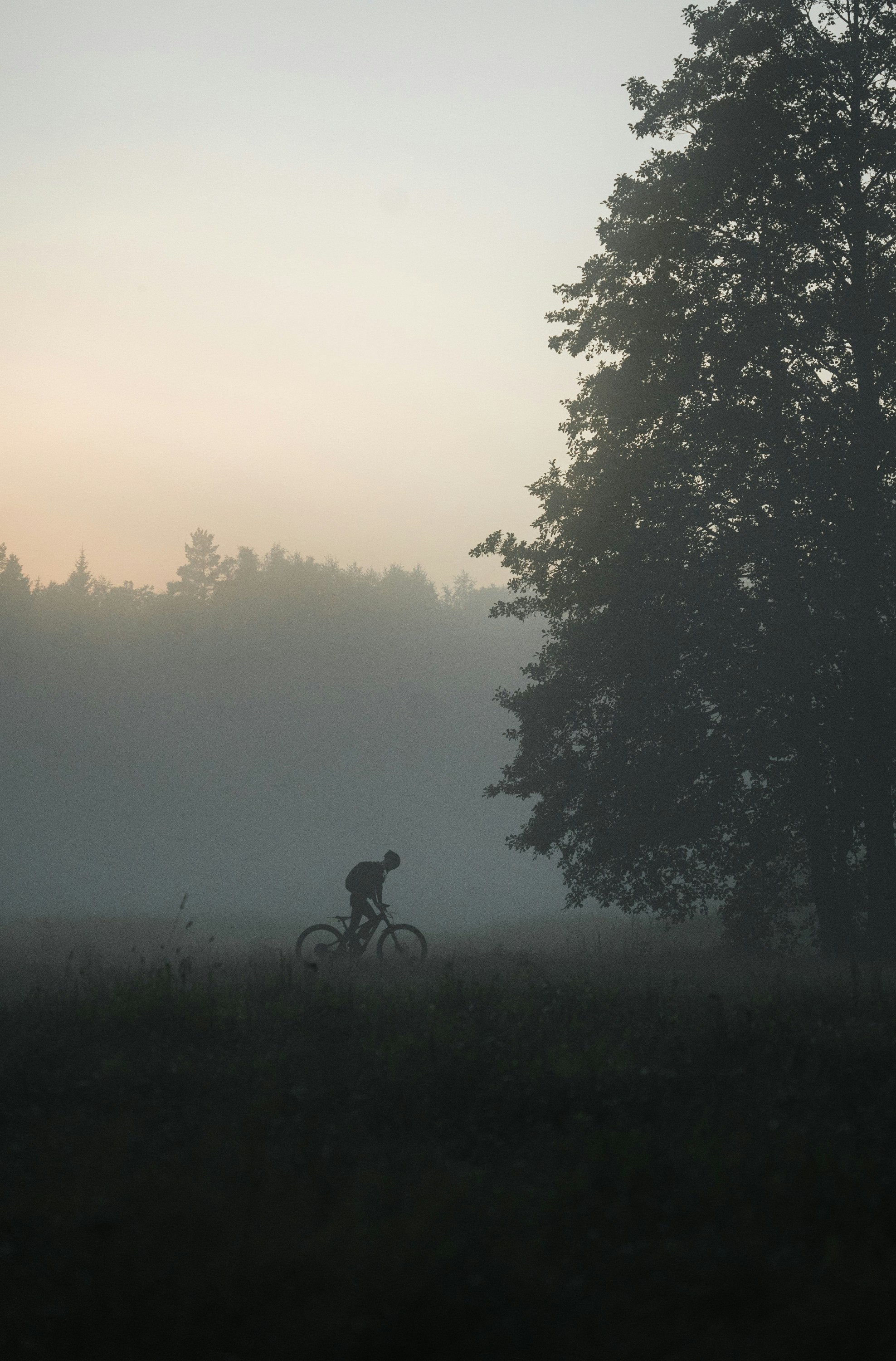 Figeac : Rando Téléthon à Alvignac